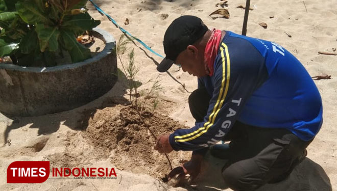Anggota Tagana Kabupaten Malang ketika menanam bibit pohon Cemara Udang. (Foto: Tagana Kabupaten Malang for TIMES Indonesia)