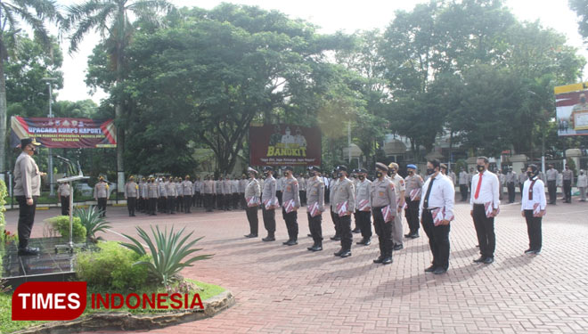 Apel.jpg