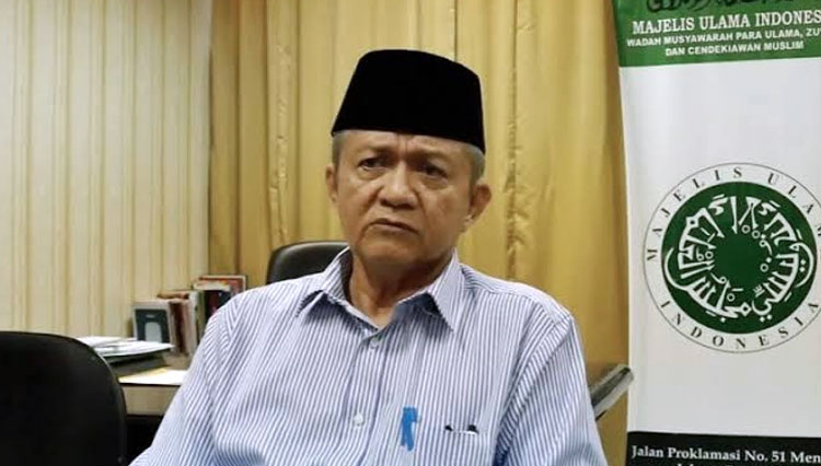 Wakil Ketua MUI, Anwar Abbas. (FOTO: Web MUI) 