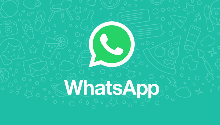 Aplikasi whatsApp. (FOTO: WhatsApp)