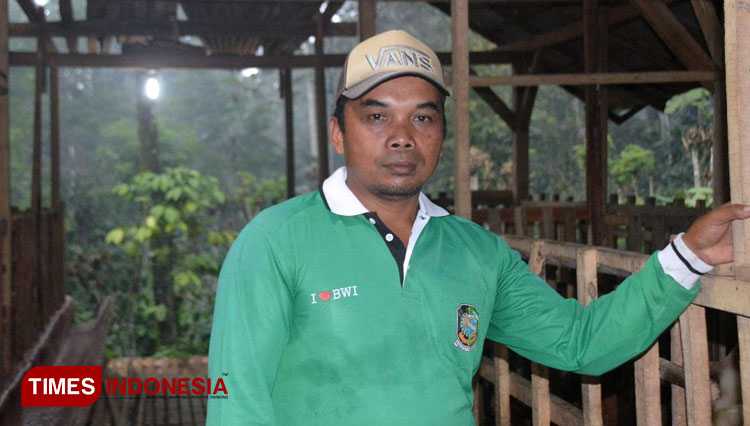 Modal Nekat, Pria di Banyuwangi Sukses Kembangkan Ternak Kambing Perah