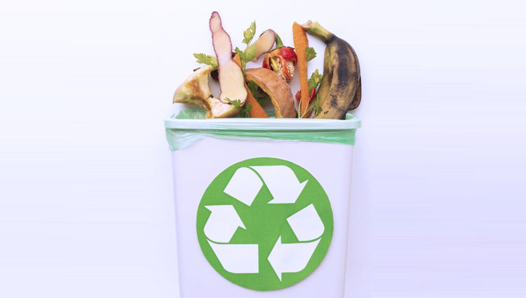 Jangan Dibuang, Ini Cara Mengolah Sampah Dapur Jadi Pupuk Organik