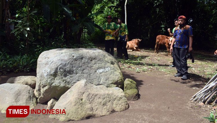 Batu megalitik di Desa Maskuning Kulon, Pujer, Bondowoso, Jawa Timur. Salah satu situs budaya yang masuk dalam Ijen Geopark dan diusulkan masuk UNESCO Global Geopark (FOTO: Moh Bahri/TIMES Indonesia).