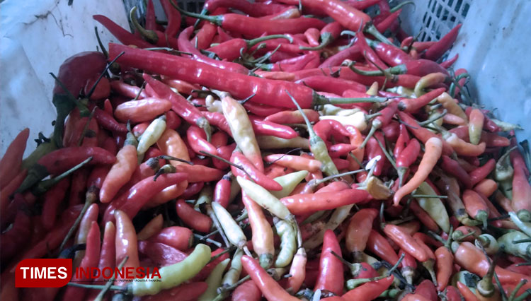 Cabai rawit di pasar Sawahan, Bangsal, Kabupaten Mojokerto. Senin (08/03/2021). (FOTO: Thaoqid Nur Hidayat/TIMES Indonesia)