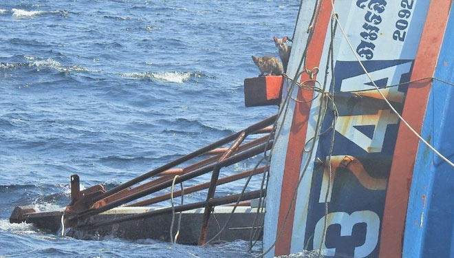 Keempat kucing yang masih terjebak di kapal yang karam. (Foto: Reuters)