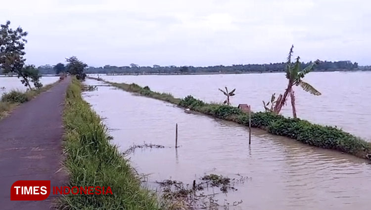 Luapan-air-dari-sungai-Citanduy-kerap-mengakibatkan-banjir-3.jpg