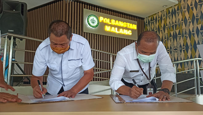 Plt Direktur Polbangtan Malang Dr Bambang Sudarmanto, SPt, MP (kanan), dan Kepala B2P2TP Surabaya, Ir Purwo Widiarto, MMA (kiri) menandatangani MoU, Rabu (10/3/2021) di lobi gedung kampus 1 Polbangtan Malang. (Foto: Ferry/TIMES Indonesia)