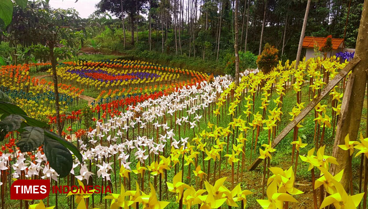 Warna-warni kincir angin kecil berbahan fiber plastik dibentuk beberapa formasi yang menjadi spot foto instagramable di Taman Kincir Angin di Kecamatan Cisayong, Kabupaten Tasikmalaya, Jawa Barat. (Foto: Harniwan Obech/TIMES Indonesia)