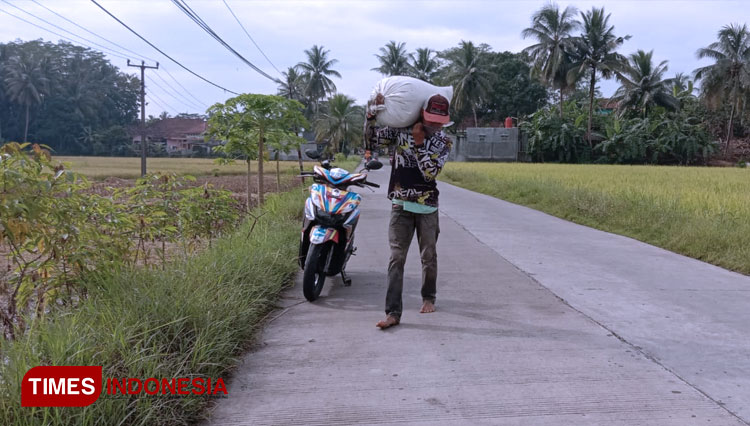 Pertanian dari Pangandaran 3
