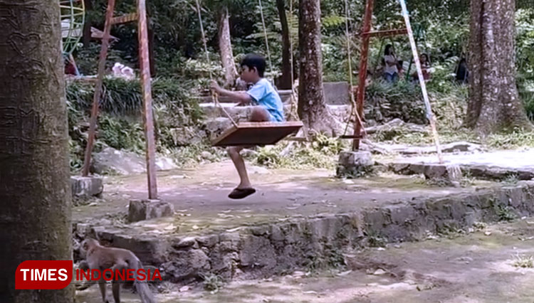 Seekor monyek dengan ekor panjang ketika berada di antara wisatawan di di Kawasan Taman Wisata Kaliurang, Sleman. (FOTO: Fajar/TIMES Indonesia)Kabid Pengembangan Destinasi Wisata dan Ekonomi Kreatif Dinas Pariwisata Pemkab Sleman, Aris Herbandang. (FOTO:
