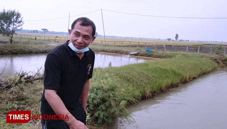 budidaya koi 2
