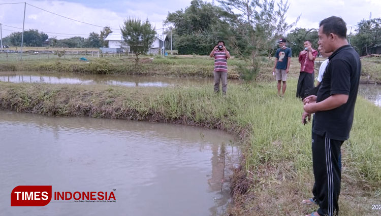 Tatang memeriksa kolam ikan koi di areal persawahan. (Foto: Romi Tri Setyo Wibowo/TIMES Indonesia)