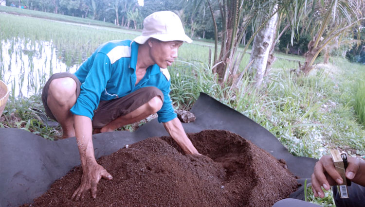 Giat UMK Klinik Tani binaan Pertamina yang berbasis di Jalan TGH. M. Amin Ismail, Suryawangi, Labuhan Haji, Lombok Timur Nusa Tenggara Barat, Kamis (18/3/2021). (FOTO: Dok.Pertamina) 