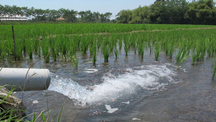 Air-Pengairan-Sawah.jpg