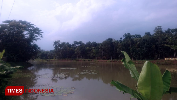 Situ-Bojongmengger-di-Ciamis.jpg