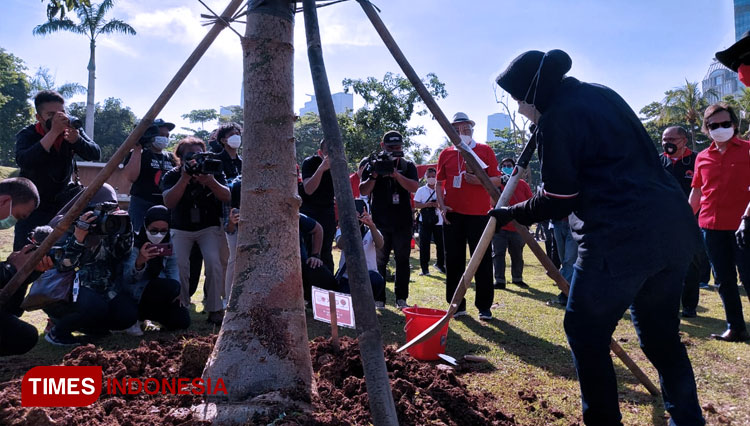 Ketua DPP PDI Perjuangan, Tri Rismaharini saat menanam pohon di kawasan GBK, Senayan, Jakarta. (FOTO: Dok. PDI Perjuangan for TIMES Indonesia).