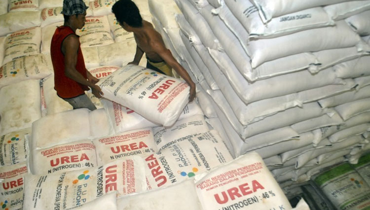 Urea