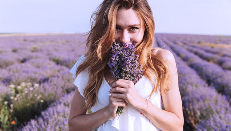 lavender-2.jpg