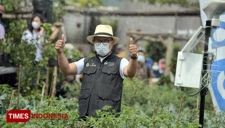 Ridwan Kamil Resmikan Kick-Off Petani Milenial - TIMES Indonesia