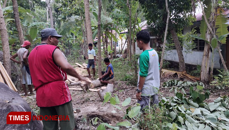 tebang kayu