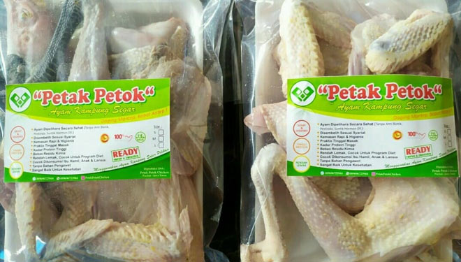 The ayam Kampung or free range breed chicken of Petak Petok Chicken of Pacitan. (Photo: Hanika Faris Pradana For TIMES Indonesia)