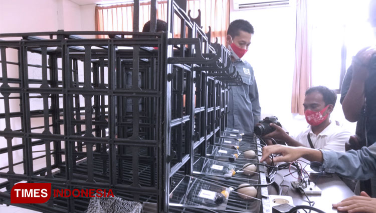 Kandang ayam smart 2
