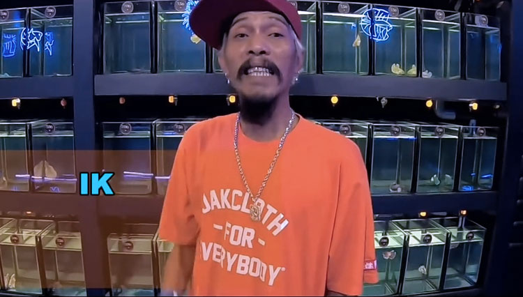 Presiden Cupang Deeway Gembel Jadi Guest Star Malang Cupang Bersatu