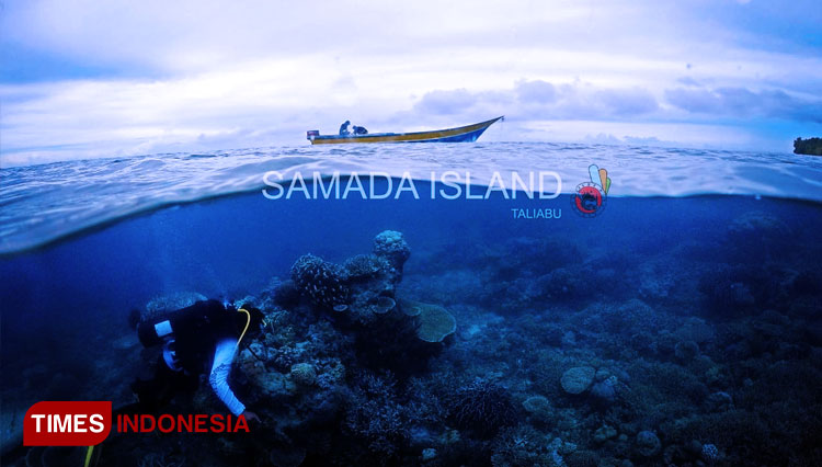 Seho Dive Encourages Society to Protect the Sea at Taliabu Island