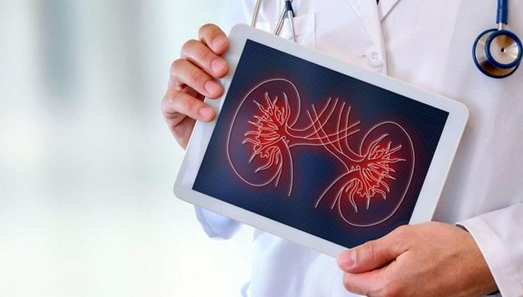 Transplantasi-Ginjal.jpg