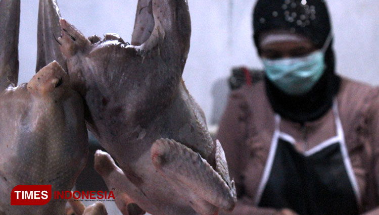 Harga Ayam Potong di Surabaya Meroket, Pedagang: Belum Pernah Semahal Ini