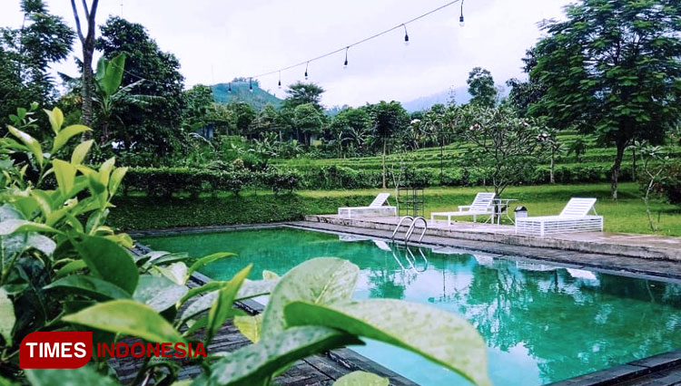 Staycation di Tengah Kebun Teh Tea Garden Resort Subang - TIMES Indonesia