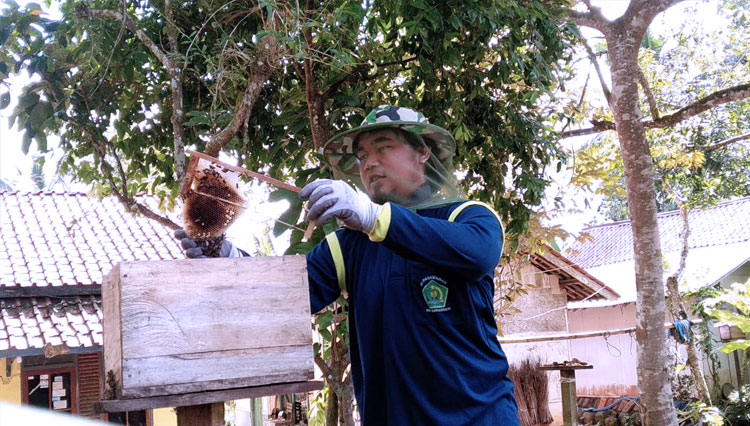 Yayat Hayatul Hasani, pembudidaya lebah jenis Apis Cerena di Kecamatan Banjaranyar, Kabupaten Ciamis, Jawa Barat (FOTO: Dok. Yayat)