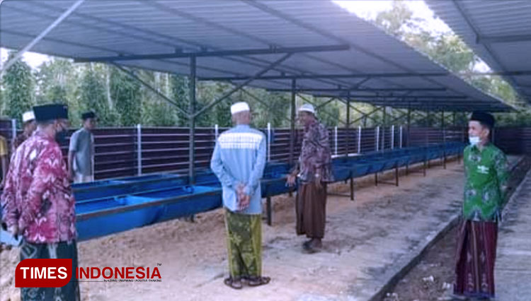 Keberadaan lahan tempat pemeliharaan sapi b