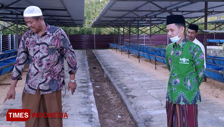 Pesantren Al Fatih Klampar Sediakan Lahan Ternak Sapi dari Wali Santri