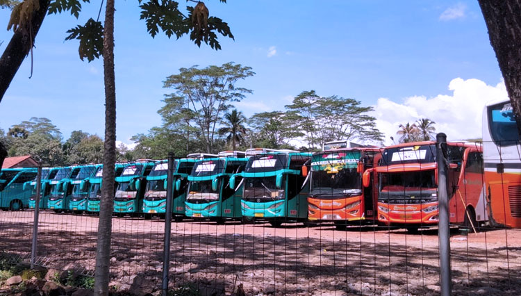 Deretan puluhan bus GR yang terpaksa harus dikandangkan (Foto: Dok. Ekky)