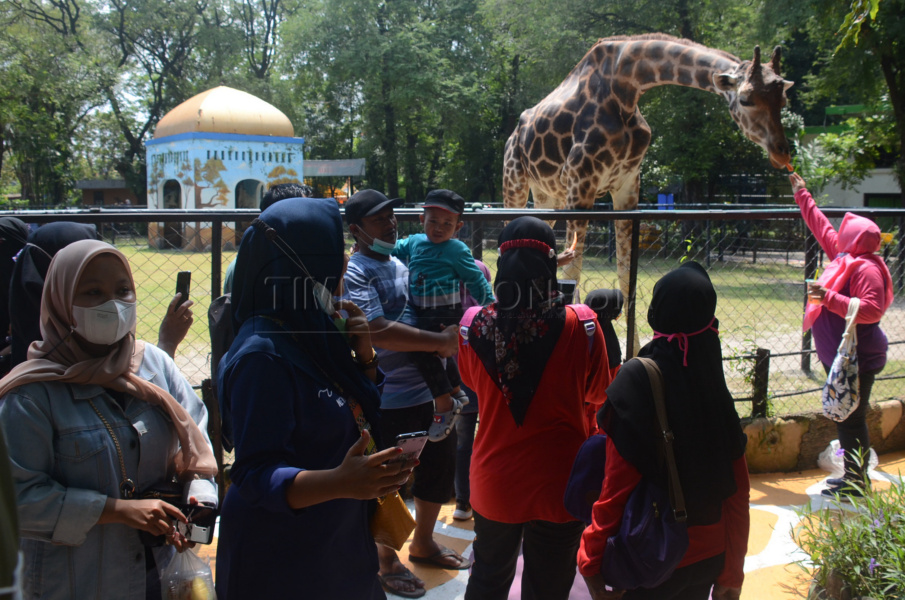 Kebun Binatang Surabaya Pilihan Berwisata di Hari Raya Idul Fitri