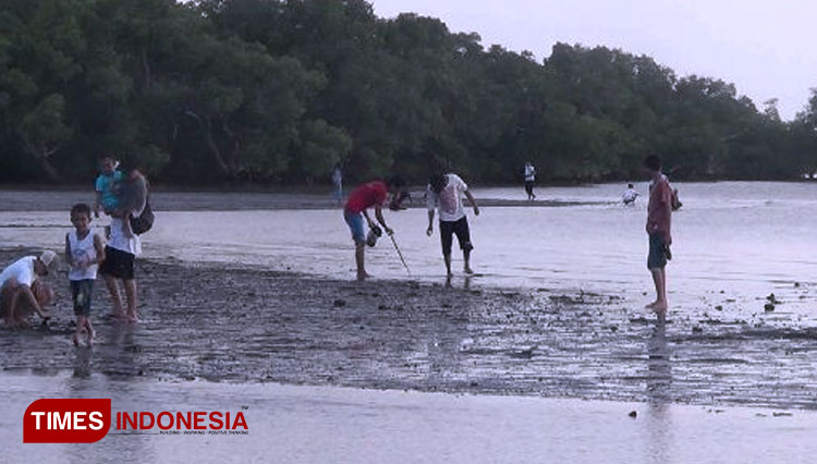 pantai Tambak Sari Pajarakan 2