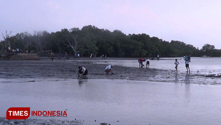 Ngabuburit Sambil Cari Kerang di Pantai Pajarakan Probolinggo