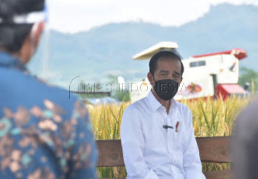 Presiden Joko Widodo Tinjau panen Raya Padi 