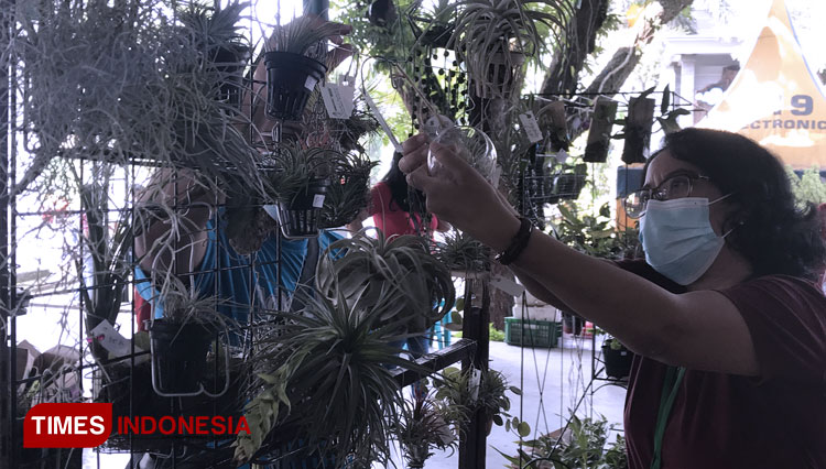 Paroki MDKS Lely Ajak Umat Kembangkan Komoditi Anggrek di Era Pandemi Covid-19