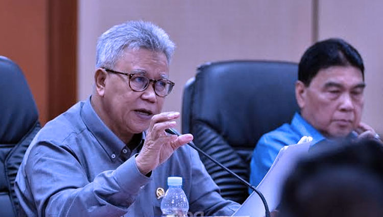 Wakil Ketua Komisi II DPR RI Syamsurizal. (FOTO: Dok. DPR RI).