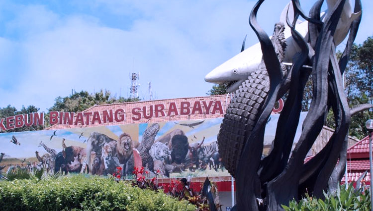  Kebun Binatang Surabaya menjadi ikonik kota Surabaya (Foto: ecobis)