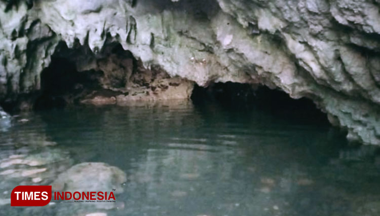 Lokasi sungai di kawasan goa rengganis pantai timur Pangandaran kawasan TWA BKSDA (Foto: dokumen Syamsul Ma'arif/TIMES Indonesia)