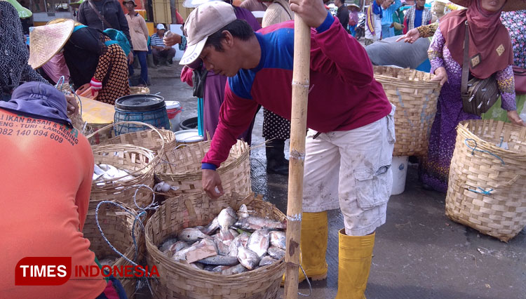 Harga IKan Lamongan a