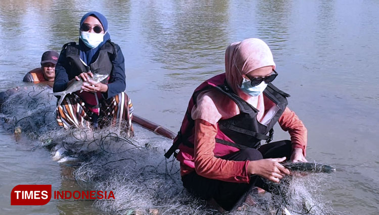 Pengunjung saat panen ikan (Foto: Akmal/TIMES Indonesia).