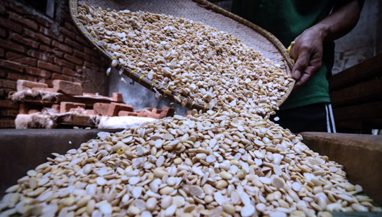 Ilustrasi - Pekerja mengeringkan biji kedelai untuk dijadikan tempe di rumah produksi tempe. (Foto: ANTARA FOTO/Raisan Al Farisi)