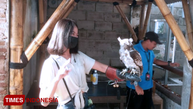 Puluhan Influencer Dukung Promosi Jember Mini Zoo kepada Masyarakat