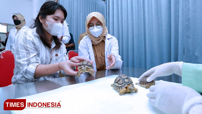 Rumah Sakit Hewan Banyuwangi b