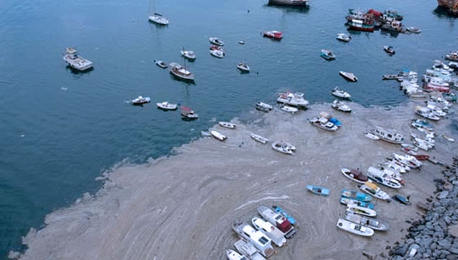 Lapisan lendir tebal dari zat lendir telah menyebar melalui laut selatan Istanbul, menimbulkan ancaman bagi kehidupan laut. (FOTO A:The Independent/AP)Ingus laut dekat distrik Maltepe, Kadikoy dan Adalar di Istanbul, Turki.(FOTO B:The Independent/Anadolu 