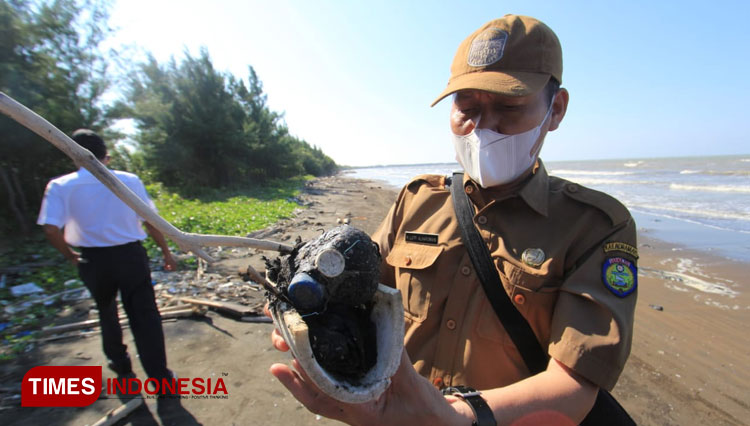 Temuan gumpalan hitam diduga minyak mentah di Indramayu. (Foto: Muhamad Jupri/TIMES Indonesia)